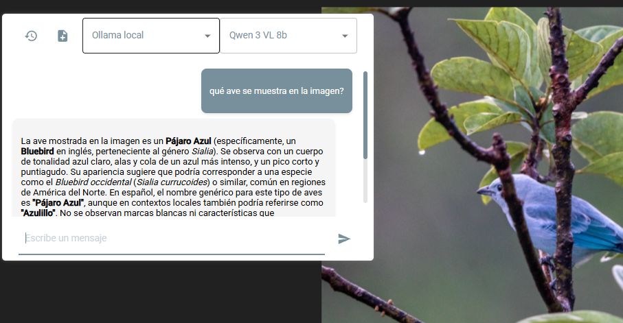 Identifying images with Ollama